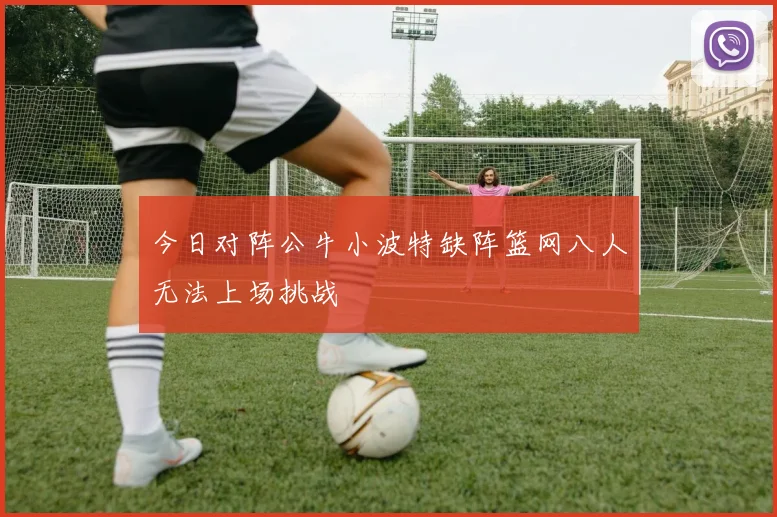 今日对阵公牛小波特缺阵篮网八人无法上场挑战