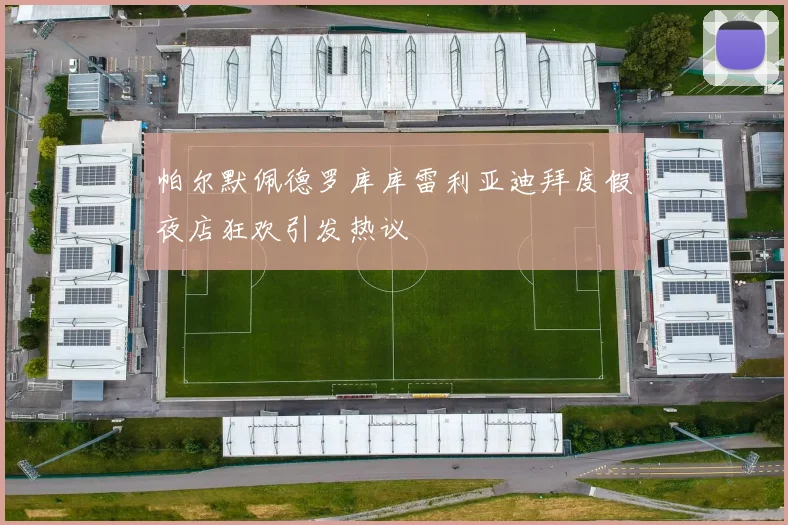 帕尔默佩德罗库库雷利亚迪拜度假夜店狂欢引发热议