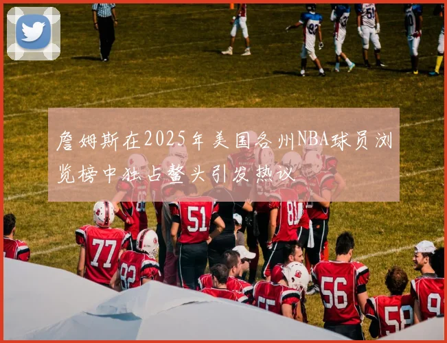詹姆斯在2025年美国各州NBA球员浏览榜中独占鳌头引发热议