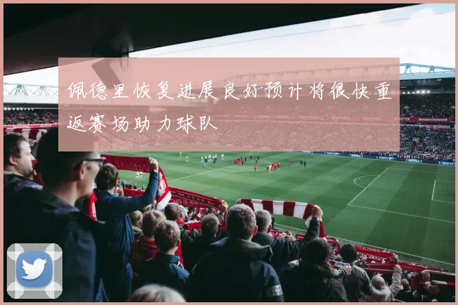 佩德里恢复进展良好预计将很快重返赛场助力球队